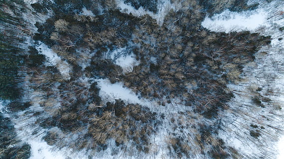 onde aeree del mare, natura, all'aperto, tempo metereologico, scenario, struttura, 73 cosmos ave, Canada, uxbridge, foresta, paesaggio, la neve, terra, bianca, roccia, albero, pianta, carta da parati mac, sfondo, dji, carta da parati di windows, fotogramma intero, nessuno, sfondi, la tranquillità, giorno, bellezza nella natura, avvicinamento, crescita, inverno, vista dall'alto, modello, temperatura fredda, scenics - natura, movimento, acqua, 5K, CC0, dominio pubblico, privo di copyright