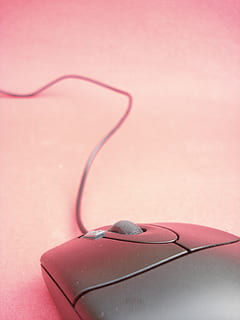 Maus, Computerteile, Technologie, berühren, Desktop, Taste, Kabel, pinke Farbe, Nahansicht, keine Leute, Verbindung, drinnen, Computermaus, Kopfhörer, Computerausrüstung, rot, Elektrizität, Hören, Studioaufnahme, Fokus auf den Vordergrund, einzelnes Objekt, Kommunikation, Stillleben, kabellose Technologie, Tontechnik, elektrische Ausrüstung, 2K, CC0, gemeinfrei, lizenzfrei