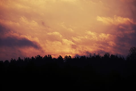 matahari terbit, langit, awan, pohon, bayangan hitam, pagi, alam, keindahan di alam, awan - langit, ketenangan, adegan yang tenang, matahari terbenam, scenics - alam, hutan, menanam, tidak ada orang, langit yang dramatis, lingkungan Hidup, pemandangan, adegan non-urban, idilis, tanah, warna oranye, gelap, di luar rumah, pohon pinus, pohon jenis konifera, hutan pinus, 4K, CC0, domain publik, bebas royalti