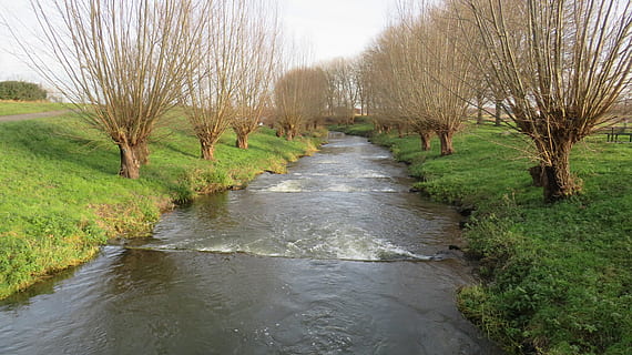 llevar una vida de soltero, construcción, río, agua, cascada, limpiar, naturaleza, fluido, ambiente, otoño, Arroyo, mojado, bosque, verde, planta, árbol, nadie, día, tranquilidad, paisajes - naturaleza, belleza en la naturaleza, crecimiento, dirección, escena tranquila, perspectiva decreciente, árbol desnudo, el camino a seguir, sendero, escena no urbana, al aire libre, hierba, canal, corriente - agua que fluye, treelined, 5K, CC0, dominio público, libre de derechos