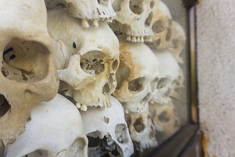 menschlicher Schädel Dekor, choeung ek Völkermordzentrum, Kambodscha, Phnom Penh, Kunst, Wasserspeier, Ornament, Skulptur, Statue, Pilz, Augen, Mensch, Anzeige, Schädel, Massaker, Tod, Stapel, Bokeh, verwischen, Trauer, menschliches Skelett, menschlicher Schädel, menschliches Körperteil, Knochen, drinnen, die Architektur, Nahansicht, menschlicher Knochen, Körperteil, Religion, Geschichte, die Vergangenheit, Darstellung, Skelett, gruslig, Spiritualität, menschliche Darstellung, 5K, CC0, gemeinfrei, lizenzfrei