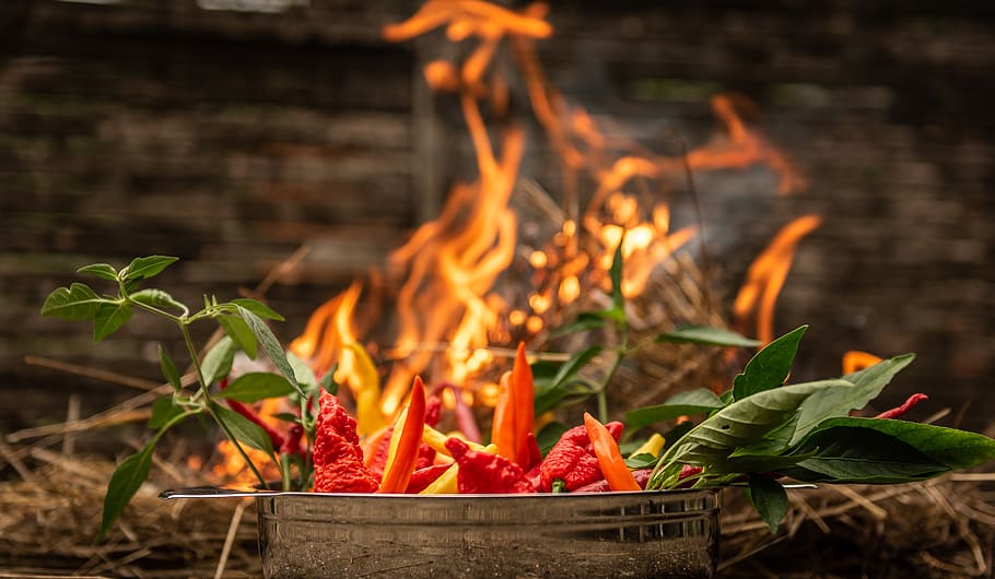 foc, Xile, agut, cremar, vermell, menjar, chile, color, fons, calenta, supermercat, picant, ardent, nitidesa, cremant, frescor, menjar i beguda, naturalesa, calor - temperatura, cap gent, foc - fenomen natural, centrar-se en primer pla, flama, alimentació saludable, vegetals, primer pla, full, part de la planta, planta, cistella, creixement, benestar, herba, 5K