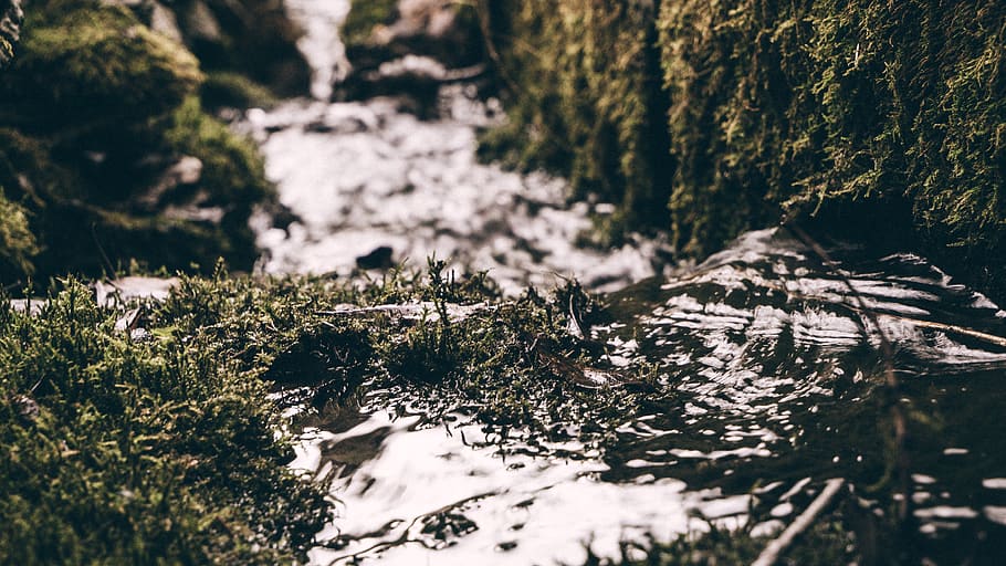foto řeka, Studený, denní světlo, životní prostředí, tráva, krajina, mech, Příroda, scénický, sníh, zimní, dřevo, strom, rostlina, les, nikdo, den, přistát, venku, studená teplota, krása v přírodě, selektivní zaměření, voda, pevný, Skála, rock - objekt, růst, slunečního světla, jehličnatého stromu, tekoucí voda, borové lesy, 4K