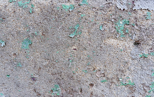 sorra grisa, sòl, grava, Carretera bruta, carretera, a l'aire lliure, sorra, naturalesa, textura, concret, fang, Pol · lució, paraula, confeti, paper, empremta, runes, cristall, insecte de cricket, animal, invertebrat, fons, marc complet, cap gent, dia, funció de construcció de parets, estructura construïda, resistent, arquitectura, aspre, primer pla, vell, paret, pintura, patró, marró, espatllat, mal estat, directament a sobre, ciment, 2K, CC0, domini públic, lliure de regalies