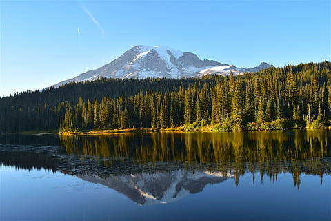montanha, lago, arvores, reflexão, agua, natureza, natural, parque, monte rainier, outono, panorama, céu, Prado, verde, cênico, meio Ambiente, ao ar livre, tranquilo, floresta, viagem, madeiras, calmo, quieto, leve, árvore, beleza na natureza, scenics - natureza, cena tranquila, tranquilidade, plantar, beira-mar, ninguém, idílico, cena não urbana, dia, céu limpo, lago da reflexão, 4K, CC0, domínio público, royalty free