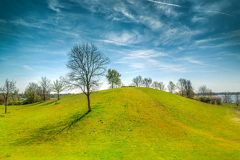 câmp de iarbă verde, luminos, zori de zi, camp, iarbă, fâneață, idilic, peisaj, parc, pitoresc, vară, soare, cer, plantă, copac, o scenă liniștită, nor - cer, liniște, scenice - natura, Culoarea verde, mediu inconjurator, frumusețe în natură, nici o persoana, natură, scenă non-urbană, teren, zi, în aer liber, 5K, CC0, domeniu public, fără drepturi de autor