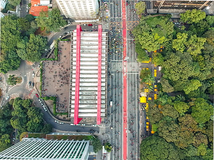 aerla., strada, intersezione, brasile, città, av. paulista, San Paolo, albero, persone, vista aerea, paesaggio, natura, all'aperto, scenario, verde, vista drone, linea rossa, urbano, costruzione, cittadina, architettura, vista dall'alto, pianta, struttura costruita, esterno dell'edificio, giorno, mezzi di trasporto, veicolo a motore, colore verde, auto, veicolo terrestre, modo di trasporto, nessuno, direttamente sopra, paesaggio urbano, 4K, CC0, dominio pubblico, privo di copyright
