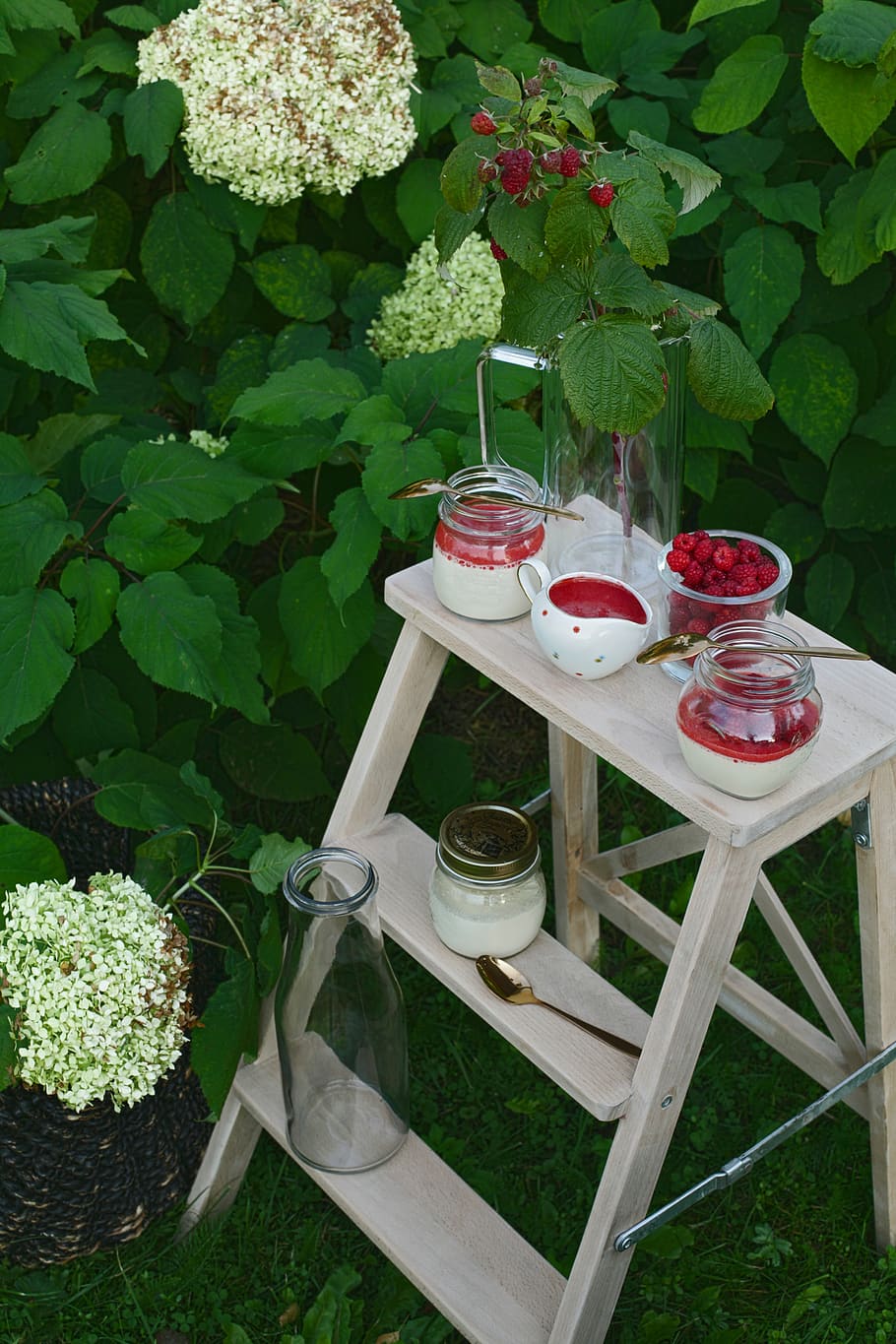 got transparent, planta, flor, gerds, jar, verd, ceràmica, gerani, prestatge, eco, xef de rebosteria, dolç, pastís, fotografia alimentària, xocolata, kristianapinne, a l'aire lliure, estiu, pannacotta, crema, taula, naturalesa, full, cap gent, part de la planta, planta amb flors, vista d’angle alt, menjar i beguda, frescor, creixement, color verd, bellesa a la natura, davant o pati del darrere, dia, seient, beure, material de fusta, vidre - material, 5K