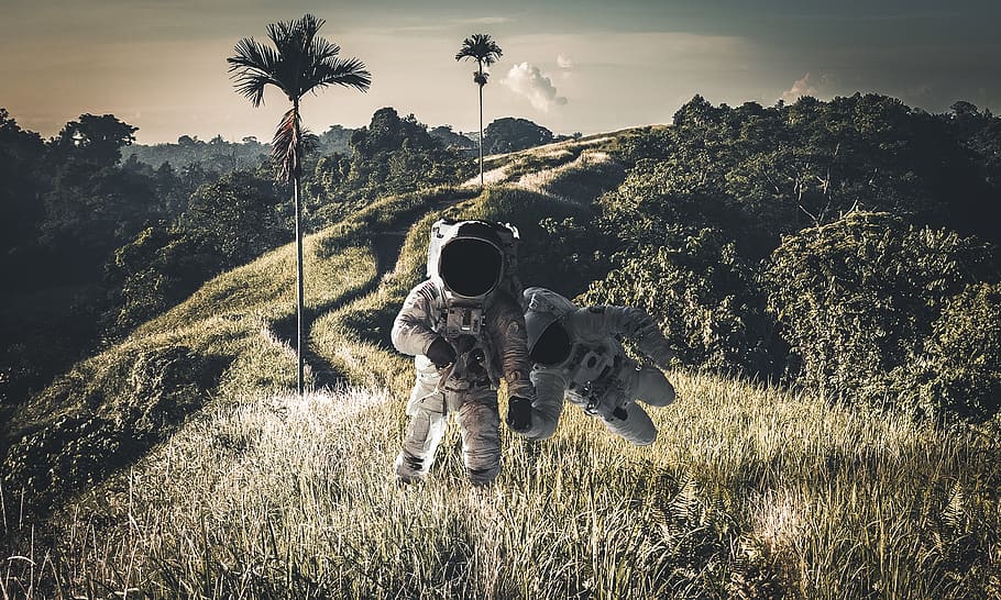 paisatge, astronauta, astronomia, flotar, ingravidesa, palmell, palmeres, composició, Photoshop, senderisme, desert, planta, cel, arbre, terra, naturalesa, creixement, camp, herba, bellesa a la natura, llum solar, a l'aire lliure, cap gent, dia, medi ambient, seguretat, núvol - cel, protecció, posta de sol, 2K