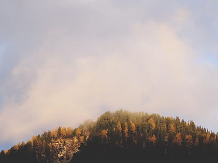 Himmel, Wolken, Sonnenschein, fallen, Herbst, Bäume, Wald, Natur, Baum, Pflanze, Schönheit in der Natur, Szenen - Natur, Ruhe, ruhige Szene, Tag, Wachstum, keine Leute, Nicht-städtische Szene, Veränderung, draußen, wolke - himmel, Land, Nebel, 5K, CC0, gemeinfrei, lizenzfrei