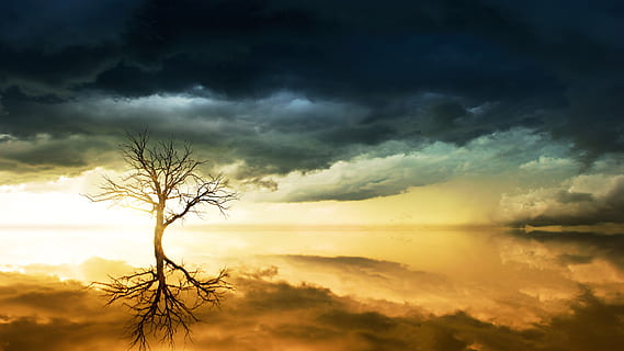 Foto, kahl, Baum, wolkig, Himmel, hinterleuchtet, kahler Baum, Wolken, dunkle Wolken, Dämmerung, dramatisch, bedeckt, Reflexion, Landschaft, szenisch, Sturm, Sonne, Wasser, Wetter, wolke - himmel, Szenen - Natur, Schönheit in der Natur, Ruhe, Sonnenuntergang, ruhige Szene, Dramatischer Himmel, Natur, Silhouette, Pflanze, keine Leute, Ast, orange Farbe, Wolkengebilde, Umgebung, draußen, hell erleuchtet, 5K, CC0, gemeinfrei, lizenzfrei