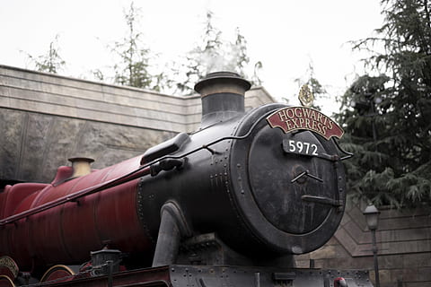 hogwarts express tog, tog, træ, køretøj, transportmidler, plante, nåletræ, flora, fyrretræ, krukke, potteplante, keramik, vase, egetræ, harry potter, transportere, rejse, universel studio, Jk rowling, platform, film, dag, arkitektur, fokus på forgrunden, metal, ingen mennesker, jernbanetransport, historie, tekst, fortiden, tog - køretøj, udendørs, bygget struktur, transportform, natur, tæt på, offentlig transport, 5K, CC0, offentligt domæne, royaltyfrie