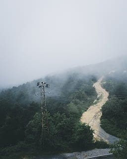 Grün, Bäume, grau, Turm, Antenne, Tageslicht, elektrische Leitungen, elektrische Post, Nebel, nebelig, High Angle Shot, Landschaft, Berg, Natur, Straße, szenisch, Wetter, Baum, Szenen - Natur, Schönheit in der Natur, Pflanze, ruhige Szene, Nicht-städtische Szene, keine Leute, Umgebung, Ruhe, Himmel, Land, Tag, kopieren sie platz, draußen, Wachstum, 2K, CC0, gemeinfrei, lizenzfrei