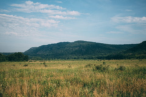 plainfields, eventyr, natur, træer, hvede, græs, blå himmel, wisconsin, rejselyst, landskab, miljø, himmel, plante, ingen mennesker, skønhed i naturen, jord, scenics - natur, bjerg, sky - himmel, rolig scene, ro, træ, Mark, udendørs, ikke-urbane scene, dag, Skov, 5K, CC0, offentligt domæne, royaltyfrie