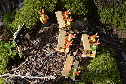 Ostern, Hase, Hasenschule, Schule, Osterhase, süß, Osterthema, ABC, Wald, Moos, Baumstumpf, Sonnenschein, Frühling, Spielzeuge, Festival, Deko, Essen und Trinken, High Angle View, Lebensmittel, Natur, Tag, Pflanze, Gemüse, keine Leute, Verbrennung, draußen, gesundes Essen, Grill, Holz - Material, Hitze - Temperatur, Frische, Log, Feuer, Gras, Baum, 4K, CC0, gemeinfrei, lizenzfrei
