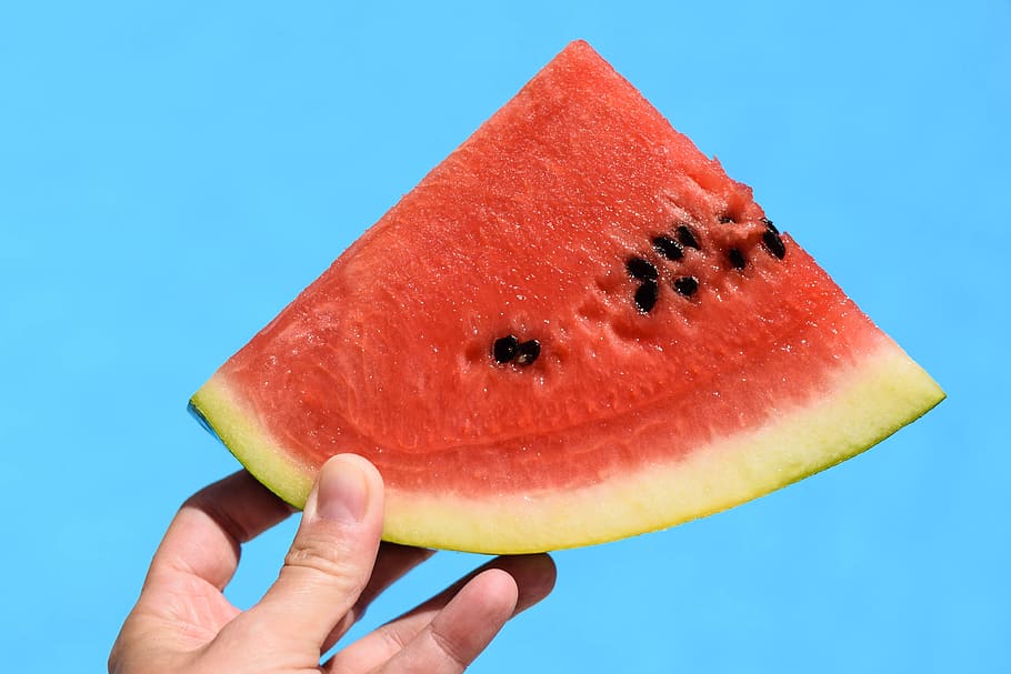 Croàcia, meló, estiu, piscina, calor, sol, sommer, fresc, color, contrast, colourpop, diversió, mà humana, menjar i beguda, menjar, fruita, síndria, alimentació saludable, mà, benestar, part del cos humà, tall, blau, una persona, celebració, frescor, vermell, dit, dit humà, estils de vida, part del cos, a l'aire lliure, fons blau, madur, 4K