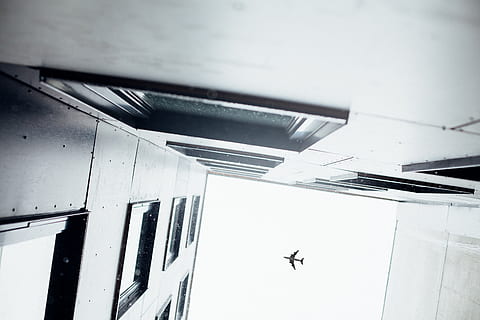 bygning, struktur, himmel, infrastruktur, vindue, etablering, Hotel, by, by-, arkitektur, kunst, glas, fly, skyskraber, sort og hvid, flyvende, lav vinkel visning, transportmidler, luftfartøj, transportform, ingen mennesker, dyr, dyre temaer, et dyr, fugl, Midt i luften, dyr i naturen, dag, bygget struktur, hvirveldyr, dyreliv, udendørs, flyvningen, luftfartsindustrien, loft, 5K, CC0, offentligt domæne, royaltyfrie