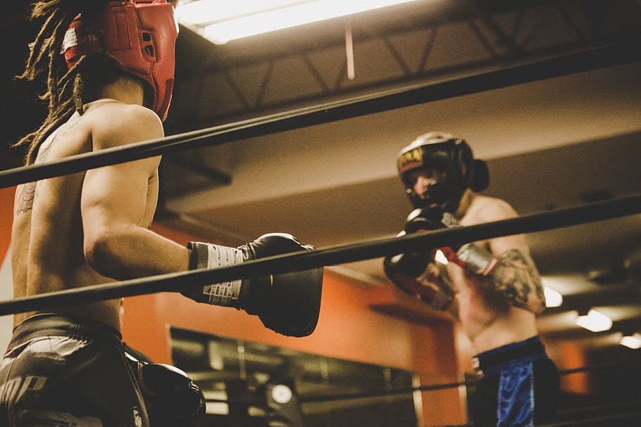 zwei, Mann, tragen, Trainingshandschuhe, Ring, Stärke, Sport, ausüben, drinnen, Lebensstile, echte Menschen, Sporttraining, Entschlossenheit, Menschen, Muskelaufbau, gesunder Lebensstil, Athlet, mit nacktem Oberkörper, Männer, Fitnessstudio, Vitalität, Freizeitbeschäftigung, junger Erwachsener, Erwachsene, Anstrengung, 5K