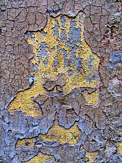 bakke, teppe, rust, tekstur, stein, tre, vegg, anlegg, trestamme, tjære, diagram, kart, hull, alger, symbol, kryss, mønster, betong, dyr, strukturert, bakgrunn, full ramme, forvitret, ingen folk, skrelle av, gammel, dag, avslå, nærbilde, bygget struktur, ujevn, forverring, skrellet, veggbyggingsfunksjon, skadet, løp ned, stamme, arkitektur, utendørs, lichen, ødelagt, 2K, CC0, offentlig domene, opphavsrett gratis