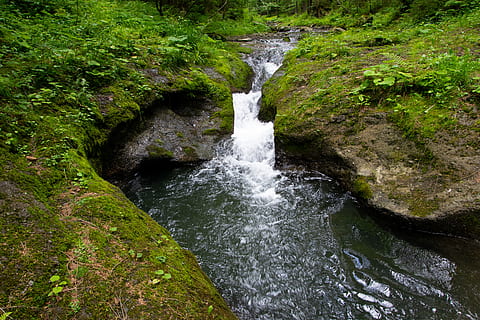 Chequia, agua, belleza en la naturaleza, movimiento, agua que fluye, rock, planta, bosque, tierra, sólido, roca - objeto, nadie, cascada, paisajes - naturaleza, larga exposición, naturaleza, movimiento borroso, árbol, color verde, día, fluido, al aire libre, selva, poder en la naturaleza, la caída del agua, 5K, CC0, dominio público, libre de derechos