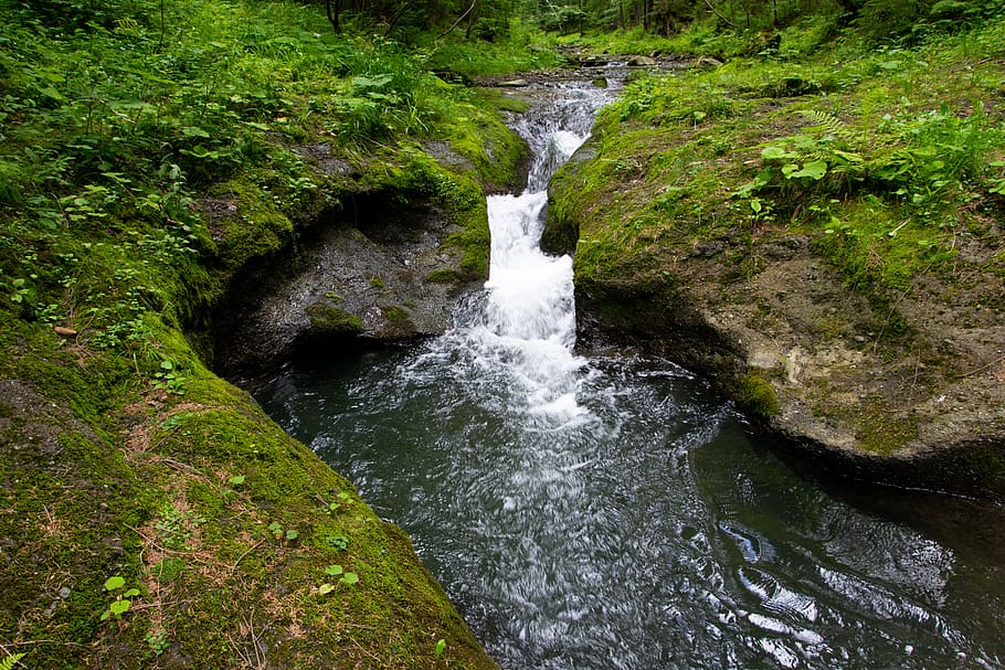 Repubblica Ceca, acqua, bellezza nella natura, movimento, acqua corrente, roccia, pianta, foresta, terra, solido, roccia - oggetto, nessuno, cascata, scenics - natura, lunga esposizione, natura, movimento sfocato, albero, colore verde, giorno, fluente, all'aperto, foresta pluviale, potere in natura, acqua che cade, 5K