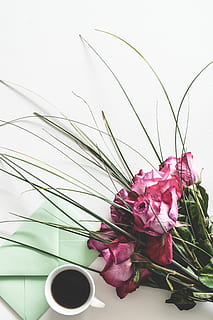 skrivebord, breve, kaffe, tom, blad, roser, romantisk, dekoration, skrive, noter, kuvert, blomster, baggrund, hvid, feminin, brevpapir, Mors Dag, Valentins Dag, blomst og strauss, arbejdsplads, gave, blomst, blomstrende plante, plante, friskhed, kop, skønhed i naturen, krus, indendørs, natur, skrøbelighed, kronblad, bord, sårbarhed, drikke, tæt på, plante del, vase, ingen mennesker, kaffekop, blomsterhoved, blomster arrangement, buket, porcelæn, flok blomster, 5K, CC0, offentligt domæne, royaltyfrie