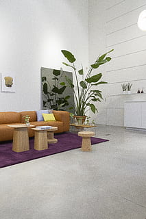 conjunto de sofás marrones, planta, adentro, mueble, planta en maceta, interior de la casa, mesa, nadie, pared - característica de la construcción, asiento, crecimiento, ausencia, silla, naturaleza, arquitectura, día, cuarto doméstico, equipo de iluminación, material de madera, estructura construida, planta de casa, lámpara eléctrica, 5K, CC0, dominio público, libre de derechos