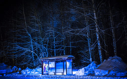 fotografía, autobús, detener, invierno, ramas, parada de autobús, frío, oscuro, ambiente, noche, bosque, escarchado, congelado, hielo, paisaje, ligero, naturaleza, al aire libre, temporada, nieve, Nevado, troncos de árboles, arboles, clima, paisaje de invierno, árbol, temperatura fría, árbol desnudo, planta, iluminado, nadie, rama, tierra, arquitectura, estructura construida, tronco de arbol, el maletero, 5K, CC0, dominio público, libre de derechos