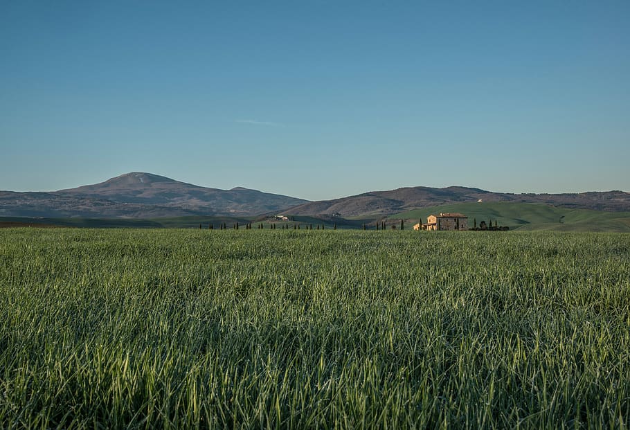 verd, herba, camps, rural, camp, muntanyes, turons, naturalesa, paisatge, cel, terra, escenics - natura, medi ambient, muntanya, bellesa a la natura, color verd, escena tranquil·la, planta, tranquil·litat, creixement, cel clar, cap gent, dia, escena rural, agricultura, a l'aire lliure, 4K