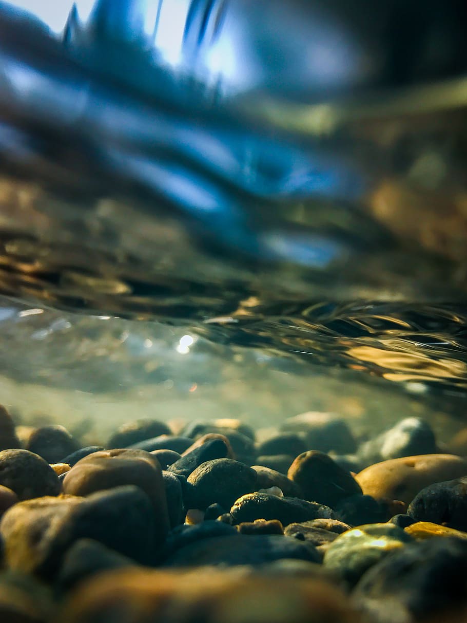 ciottolo, acqua, fiume, ruscello, rocce, flusso, bagnato, oscuro, subacqueo, foto, fotografia, pesce, animale, roccia, passerella, sentiero, all'aperto, natura, acquatico, pianta, nessuno, messa a fuoco selettiva, avvicinamento, mare, bellezza nella natura, giorno, solido, livello di superficie, trasparente, pietra - oggetto, terra, la tranquillità, scenics - natura, 2K