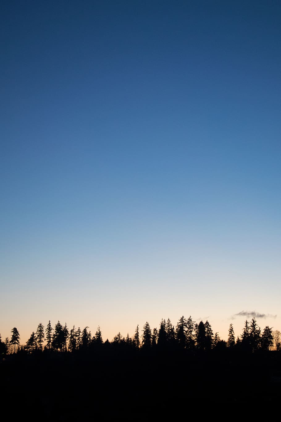 stromy během dne, silowet, nebe, hd, tapety hd, tapeta na zeď, krajina, modrý, zimní, strom, Příroda, západ slunce, klid, silueta, klidné scény, krása v přírodě, rostlina, scenics - příroda, kopie prostor, nikdo, čisté nebe, životní prostředí, mimoměstské scény, přistát, idylický, venku, 2K