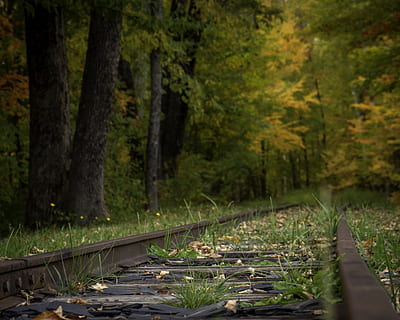 Schienen, umgeben, Bäume, Monson, Vereinigte Staaten, Promenade, Brücke, Gebäude, draußen, Vegetation, Baum, Pflanze, Natur, Land, Wald, Flora, Topfpflanze, Krug, Keramik, Vase, Schotterstraße, Kies, Straße, Transport, Richtung, keine Leute, Wachstum, der Weg nach vorn, Ruhe, Spur, Schönheit in der Natur, Tag, Schienenverkehr, Baumstamm, grüne Farbe, Kofferraum, ruhige Szene, 2K, CC0, gemeinfrei, lizenzfrei