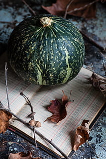 calabaza verde, planta, comida, Produce, vegetal, Fruta, mascota, perro, animal, canino, mamífero, ave, pájaro, aves de corral, pollo, hoja, piña, gato, squash, calabaza, melón, comida y bebida, frescura, nadie, mesa, naturaleza muerta, alimentación saludable, vista de alto ángulo, de cerca, adentro, bienestar, centrarse en primer plano, material de madera, día, naturaleza, cuchillo de cocina, tentación, 5K, CC0, dominio público, libre de derechos