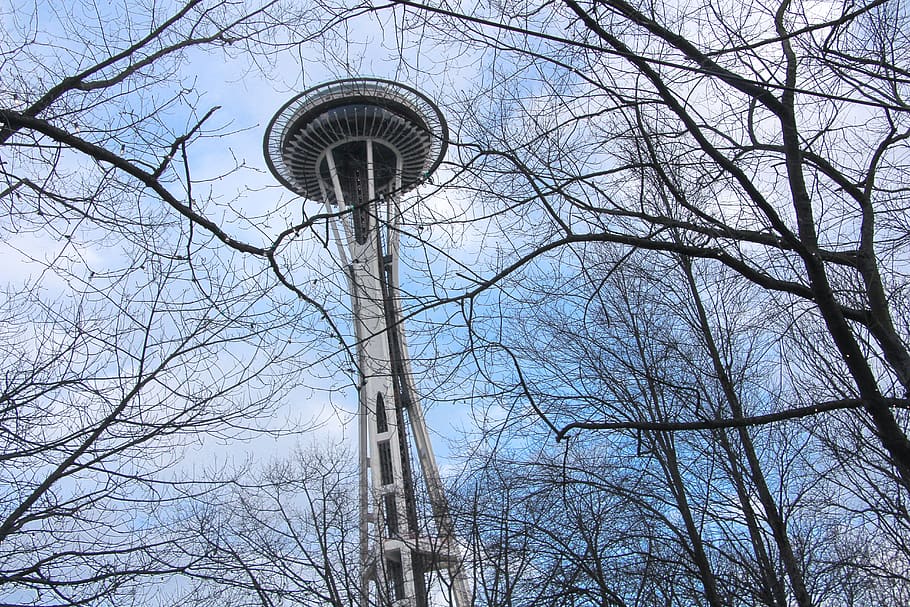 torre, edifici, arquitectura, arbre, agulla espacial, Seattle, planta, Estats Units, campanar, fletxa, centre de Seattle, fons, EUA, torre de control, urbà, torre d'aigua, abies, avet, fanal, vista d’angle baix, arbre nu, branca, cel, cap gent, naturalesa, dia, estructura construïda, alta - alta, ciutat, a l'aire lliure, turisme, exterior de l'edifici, destinacions de viatge, gratacels, 5K