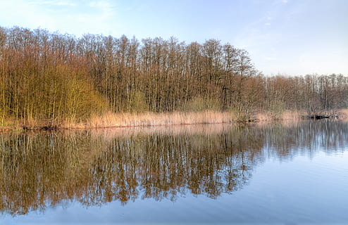 corps, eau, entouré, des arbres, lumière du jour, environnement, tomber, forêt, Lac, paysage, le marais, la nature, en plein air, réflexion, rivière, scénique, saison, marais, tranquillité, scène tranquille, beauté dans la nature, arbre, paysages - nature, plante, scène non urbaine, front de mer, ciel, personne, idyllique, journée, nuage - ciel, éloigné, croissance, 5K, CC0, domaine public, libre de droits