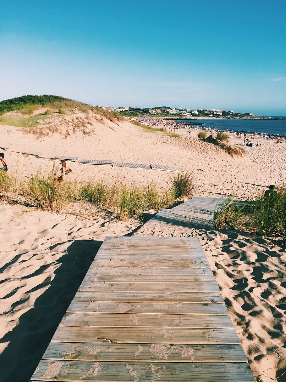 Uruguay, Jose Ignacio, Weg, erkunden, Reisen, Reise, Sommer, Sand, Strand, Sommer-, sonnig, Südamerika, Himmel, Szenen - Natur, Land, Ruhe, ruhige Szene, Schönheit in der Natur, Natur, Tag, klarer Himmel, Sonnenlicht, Pflanze, Gras, Wasser, Fußweg, keine Leute, Promenade, Landschaft, draußen, trockenes Klima, Marram Gras, Klima, 2K