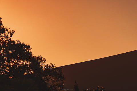 stromy, výlet, tapeta Android zdarma, tapeta, lima, ica, huacachina, Dobrodružství, hora, písek, kánon, canon photo, nebe, západ slunce, strom, rostlina, krása v přírodě, oranžová barva, silueta, nikdo, scenics - příroda, Příroda, klid, kopie prostor, architektura, klidné scény, čisté nebe, růst, venku, stavba, exteriér budovy, idylický, romantické nebe, 5K, CC0, veřejná doména, bez autorských práv