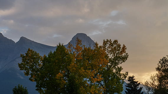 canmore, Καναδάς, δέντρο, κλαδια δεντρου, φύλλο, φύλλα, φύση, ΕΞΩΤΕΡΙΚΟΥ ΧΩΡΟΥ, πορτοκάλι, κίτρινος, πράσινος, μωβ, ροζ, βράχια, βουνά, πτώση, σύννεφα, η δυση του ηλιου, ομίχλη, ηλιόλουστος, ουρανός, φυτό, ομορφιά στη φύση, σκηνικά - φύση, σύννεφο - ουρανό, βουνό, ηρεμία, γαλήνια σκηνή, ανάπτυξη, χωρίς κόσμο, φθινόπωρο, ειδυλλιακός, μη αστική σκηνή, σε εξωτερικό χώρο, οροσειρά, χαμηλή οπτική γωνία, αλλαγή, κορυφή βουνού, 4K, CC0, δημόσιος τομέαςα, χωρίς δικαιώματαe