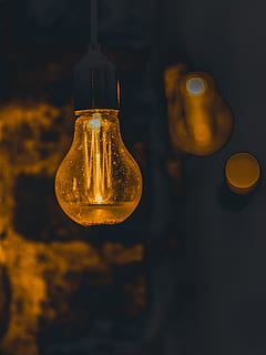 licht, lamp, gloeilamp, verlichting, licht armatuur, gloed, neon-, dier, havik, buizerd, vogel, glas, zonlicht, stadium, koplamp, beker, lampekap, hand-, jurk, kleding, glas - materiaal, transparant, verlichtingsapparatuur, geen mensen, detailopname, binnenshuis, verlicht, elektriciteit, focus op de voorgrond, stilleven, gloeidraad, studio opname, gloeiend, houder, elektrisch licht, enkel object, gezondheidszorg en medicijnen, zwarte achtergrond, elektrische lamp, 4K, CC0, publiek domein, royaltyvrij