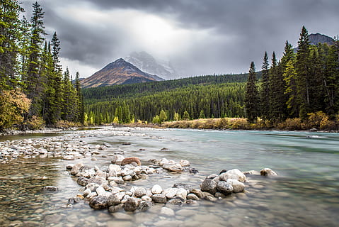 tájfotózás, folyó, körülvett, fák, Alberta, banff, Kanada, erdő, tájkép, hegy, természet, sziklák, színpadi, kövek, víz, felhő - ég, fa, festmények - természet, szépség a természetben, környezet, ég, föld, hegység, nem ember, szikla, tó, nyugodt jelenet, növény, tűlevelű fa, fenyőfa, fenyőerdő, erdei, szabadban, hegycsúcs, hatalom a természetben, 5K, CC0, közkincs, jogdíjmentes