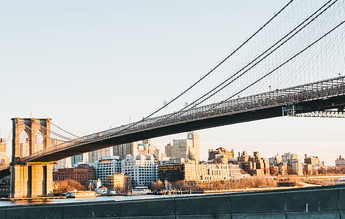 graue konkrete Braut, Brücke, Gebäude, Stadt, Straße, Hängebrücke, Metropole, städtisch, Stadt, Dorf, Weg, Aussicht, Nyc, Nachbarschaft, Hochhaus, Überführung, Autobahn, draußen, Gehäuse, Innenstadt, Natur, gebaute Struktur, die Architektur, Brücke - künstliche Struktur, Verbindung, Himmel, Gebäudehülle, Ingenieurwesen, Transport, Fluss, klarer Himmel, Tag, Reiseziele, Stadtbild, Wasser, Bürogebäude außen, Wolkenkratzer, lange, 2K, CC0, gemeinfrei, lizenzfrei