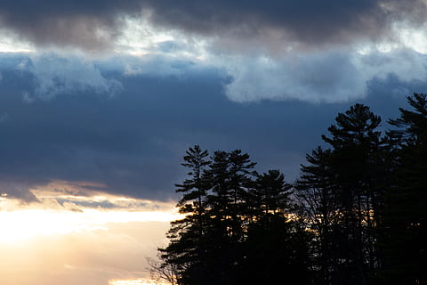 silhouet, bomen, voorkant, bewolkt, hemel, wolken, donker, dageraad, avond, mist, landschap, toneel-, sneeuw, zomer, zonsondergang, boom, winter, wolk - lucht, fabriek, schoonheid in de natuur, scenics - natuur, natuur, kalmte, lage hoekweergave, geen mensen, rustige scène, dramatische hemel, zonnestraal, zonlicht, groei, buitenshuis, idyllisch, naaldboom, 5K, CC0, publiek domein, royaltyvrij