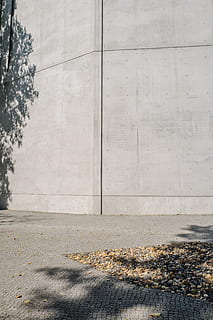 muro di cemento bianco, albero, parete, architettura, Berlino, ombra, grigio, minimo, calcestruzzo, struttura costruita, nessuno, giorno, città, pianta, esterno dell'edificio, natura, sentiero, strada, caratteristica della parete, all'aperto, luce del sole, mezzi di trasporto, modello, marciapiede, 5K, CC0, dominio pubblico, privo di copyright