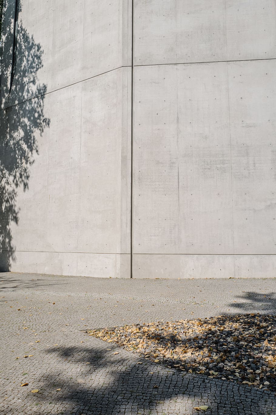 muro di cemento bianco, albero, parete, architettura, Berlino, ombra, grigio, minimo, calcestruzzo, struttura costruita, nessuno, giorno, città, pianta, esterno dell'edificio, natura, sentiero, strada, caratteristica della parete, all'aperto, luce del sole, mezzi di trasporto, modello, marciapiede, 5K