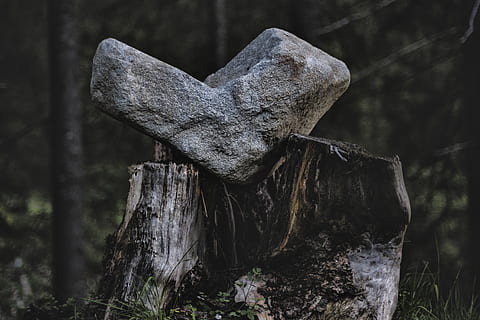 gri, stâncă, negru, lemn, întuneric, lumina zilei, mediu inconjurator, pădure, peisaj, mușchi, natură, în aer liber, decor, piatră, călătorie, copac log, arbore copac, imagini de licență, să se concentreze asupra primelor elemente, lemn - material, copac, nici o persoana, a închide, zi, plantă, texturată, teren, liniște, latra, solid, emoţie, vechi, post de lemn, 2K, CC0, domeniu public, fără drepturi de autor
