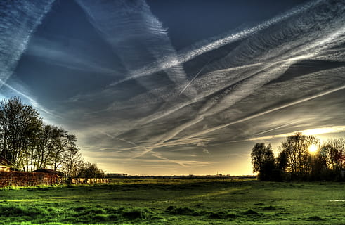 verde, erba, blu, cielo, nuvole, nuvoloso, carta da parati hd, paesaggio, scenario, Alba, tramonto, crepuscolo, pianta, albero, nuvola - cielo, la tranquillità, bellezza nella natura, scena tranquilla, scenics - natura, campo, natura, ambiente, nessuno, terra, luce del sole, idilliaco, all'aperto, giorno, scia di vapore, 5K
