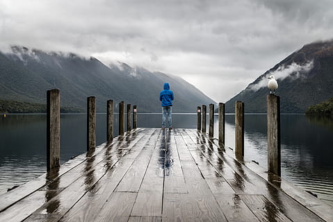 person, standing, brown, wooden, dock, animal, clouds, cloudy, cold, dawn, fog, foggy, gull, HD wallpaper, landscape, man, mist, mood, mountains, nature, nature photography, rain, rainy day, sunset, water, weather, wet, wood, sky, scenics - nature, mountain, cloud - sky, pier, beauty in nature, one person, wood - material, tranquil scene, rear view, leisure activity, real people, tranquility, lake, lifestyles, mountain range, outdoors, post, wooden post, 5K, CC0, public domain, royalty free