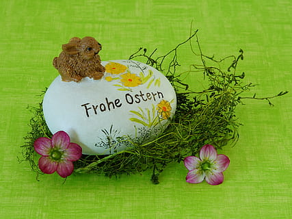 Pasqua, Feliç Pasqua, primavera, conill de Pasqua, flors, herba, pedra, símbol, pintura, salutacions de pasqua, bons desitjos, text, guió occidental, comunicació, planta, cap gent, menjar, frescor, naturalesa, color verd, menjar i beguda, primer pla, a l'interior, celebració, flor, full, esdeveniment, part de la planta, animal, esdeveniment de celebració, missatge, 4K, CC0, domini públic, lliure de regalies