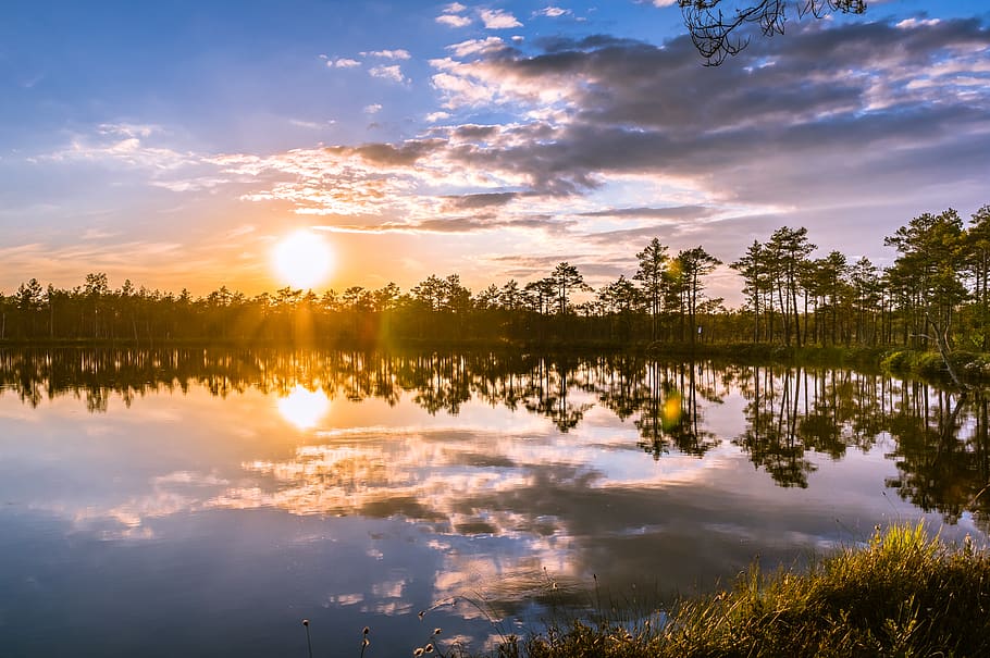 legeme, vand, omgivet, grøn, træer, skyer, daggry, miljø, aften sol, landskab, natur, refleksioner, naturskøn, himmel, sol, solnedgang, skov, afspejling, skønhed i naturen, ro, scenics - natur, sky - himmel, rolig scene, sø, træ, ingen mennesker, plante, idyllisk, orange farve, ikke-urbane scene, havnefronten, udendørs, refleksions søen, 2K