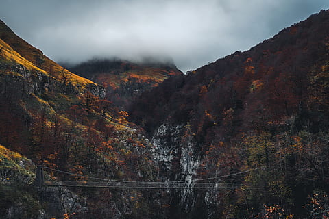pod, Două, munţi, natură, copac, plantă, în aer liber, Munte, brad, abies, peisaj, decor, Franţa, holzarte, de munte, conifer, clădire, carcasă, platou, drum, mediu rural, pantă, vegetație, toamnă, scenice - natura, frumusețe în natură, nor - cer, cer, scenă non-urbană, liniște, o scenă liniștită, nici o persoana, Schimbare, mediu inconjurator, teren, zi, toamnă colecție, 5K, CC0, domeniu public, fără drepturi de autor